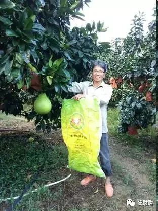冬肥备了吗？80元一包还包邮的大牌有机生物菌肥来看看