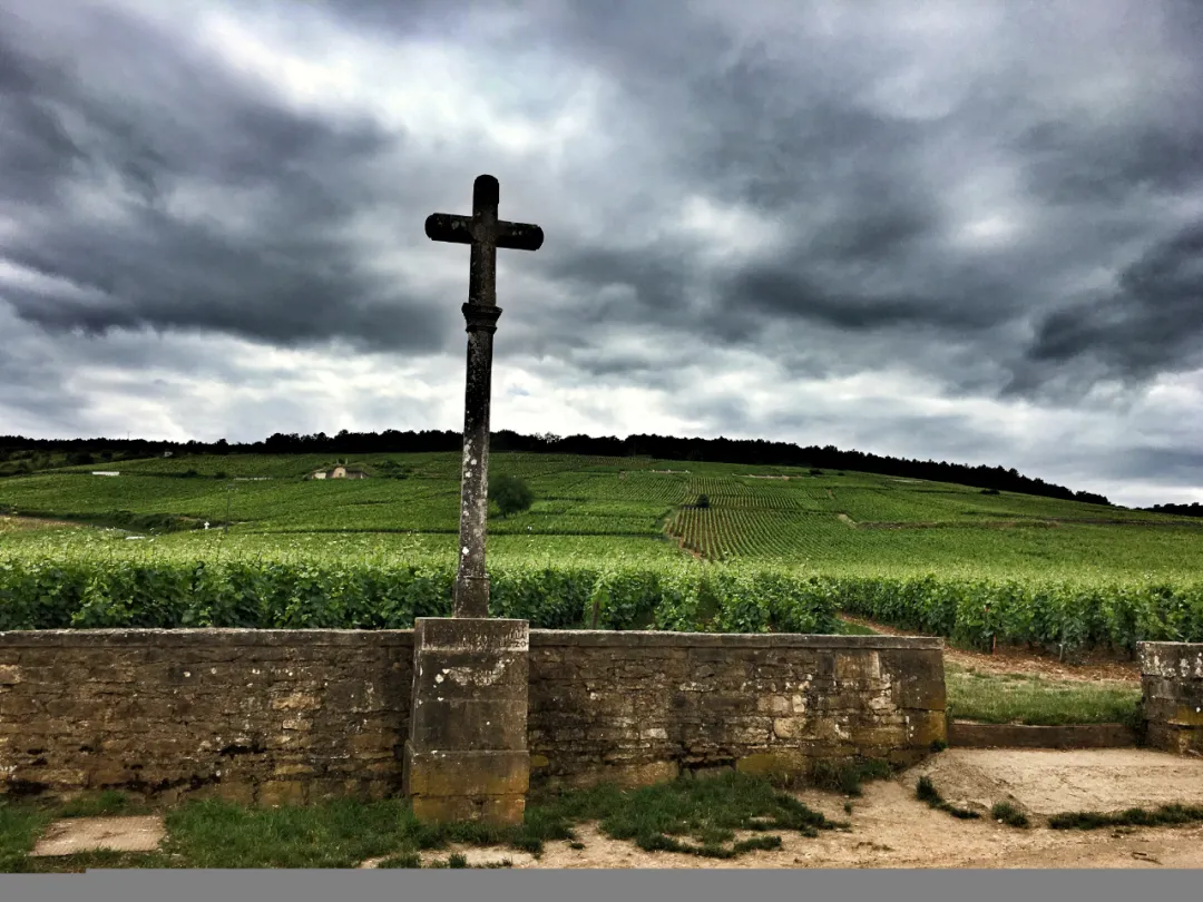 独家｜罗曼尼康帝庄主：葡萄酒变成奢侈品是很危险的事情