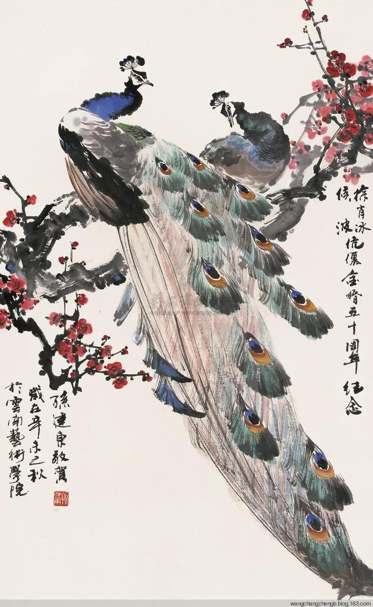 孔雀东南飞！高贵、冷艳的白孔雀