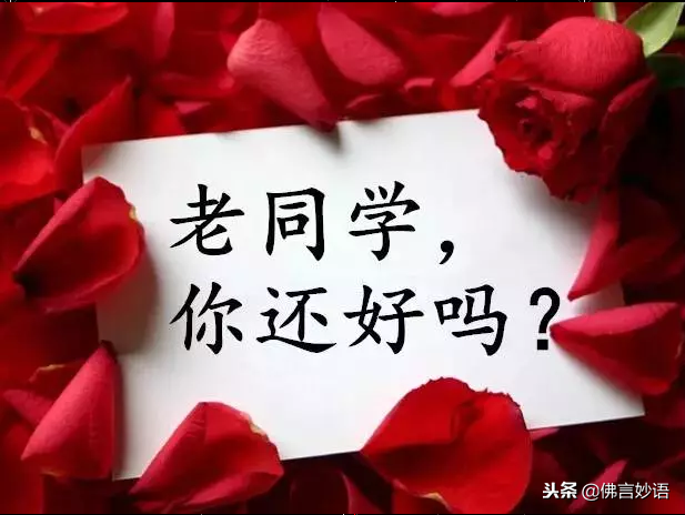 佛言妙语】同学情，永难忘，祝福每一位老同学平安，健康，快乐！