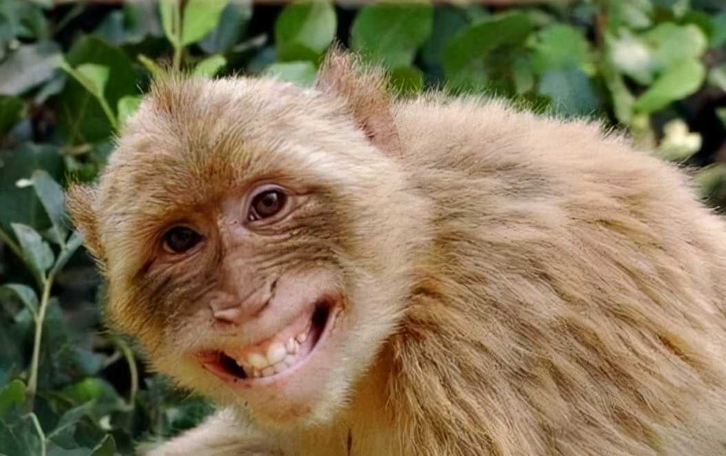 大学几点放学（天津高校放寒假时间已公布）