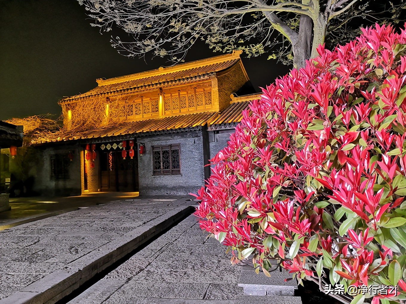「原创」春风十里（一）稻河夜色+市井早茶=最泰州