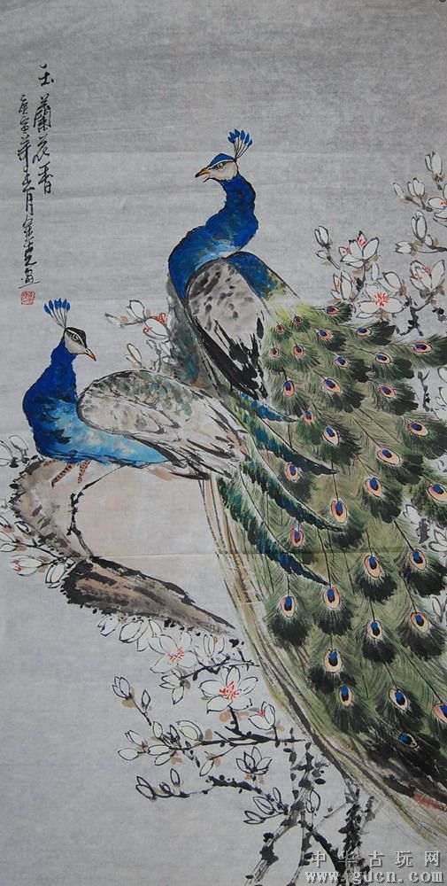 孔雀东南飞！高贵、冷艳的白孔雀