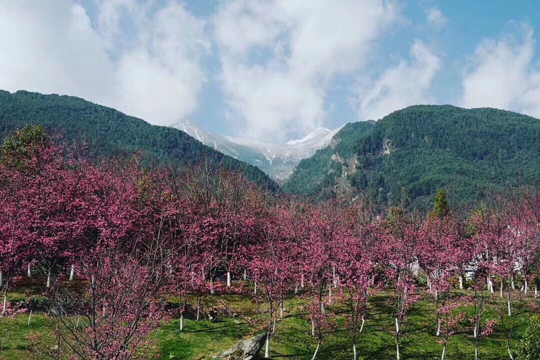 理大：大理最高学府，大理大学及周边景点吃住行游购娱攻略