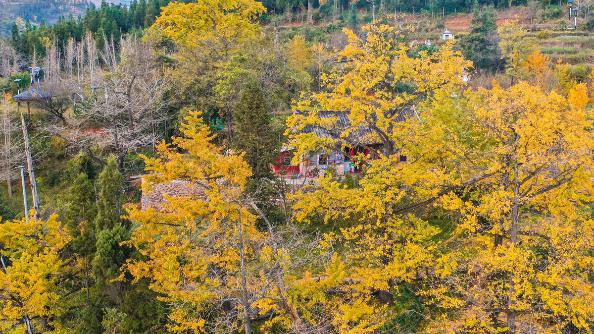 太美了！贵州的一年四季都有不同的颜色，带给大家意想不到的美景插图38
