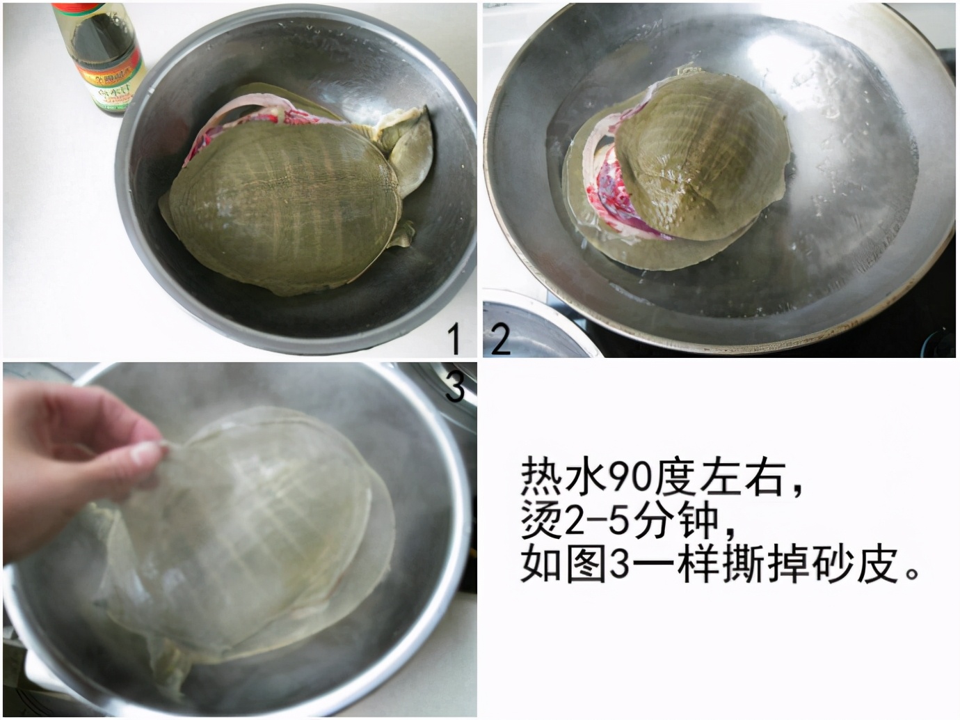 甲魚怎么殺?,甲魚的正確殺法