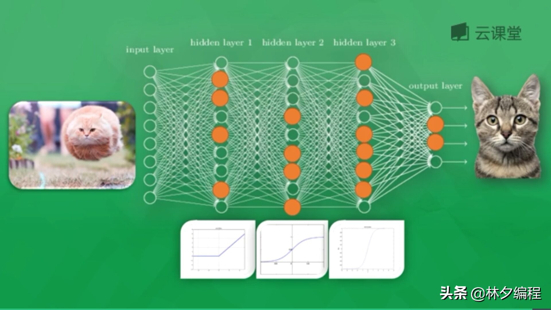 「Python人工智能」 一.神经网络入门及theano基础代码讲解