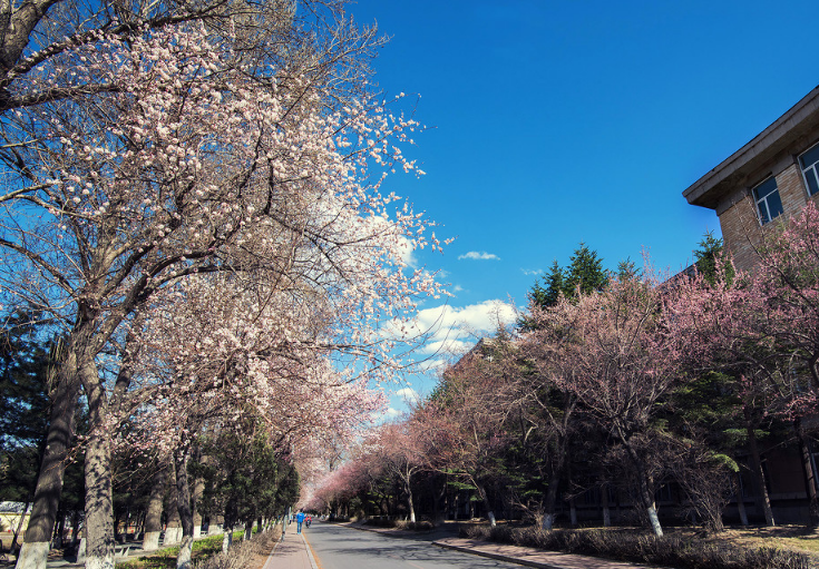 吉林大学“最帅校草”走红，被称为现实版流川枫，网友直呼我可以