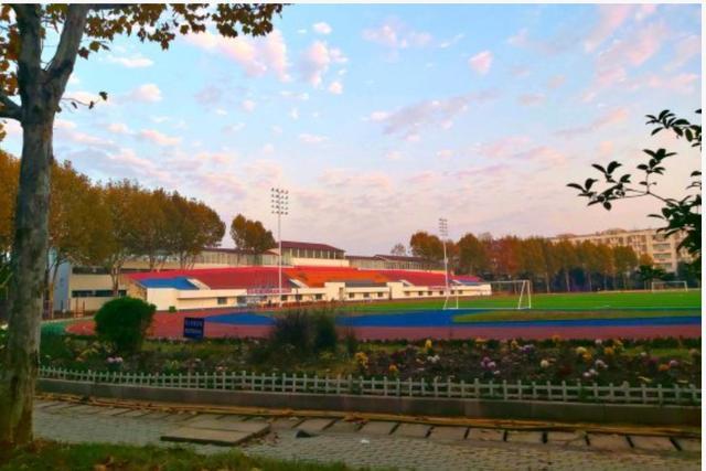 2020高考泰安有2人挺进省前6，2人挺进省前50，他们来自哪些高中