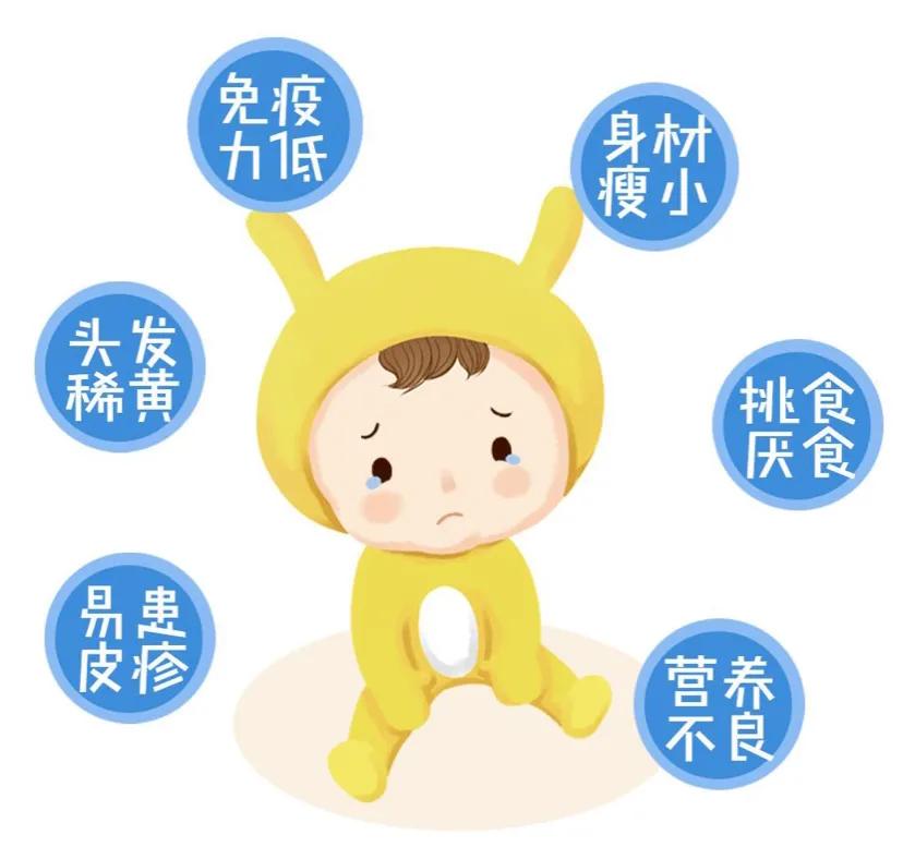 山藥蛋的功效與作用,山藥蛋的功效與作用點(diǎn)