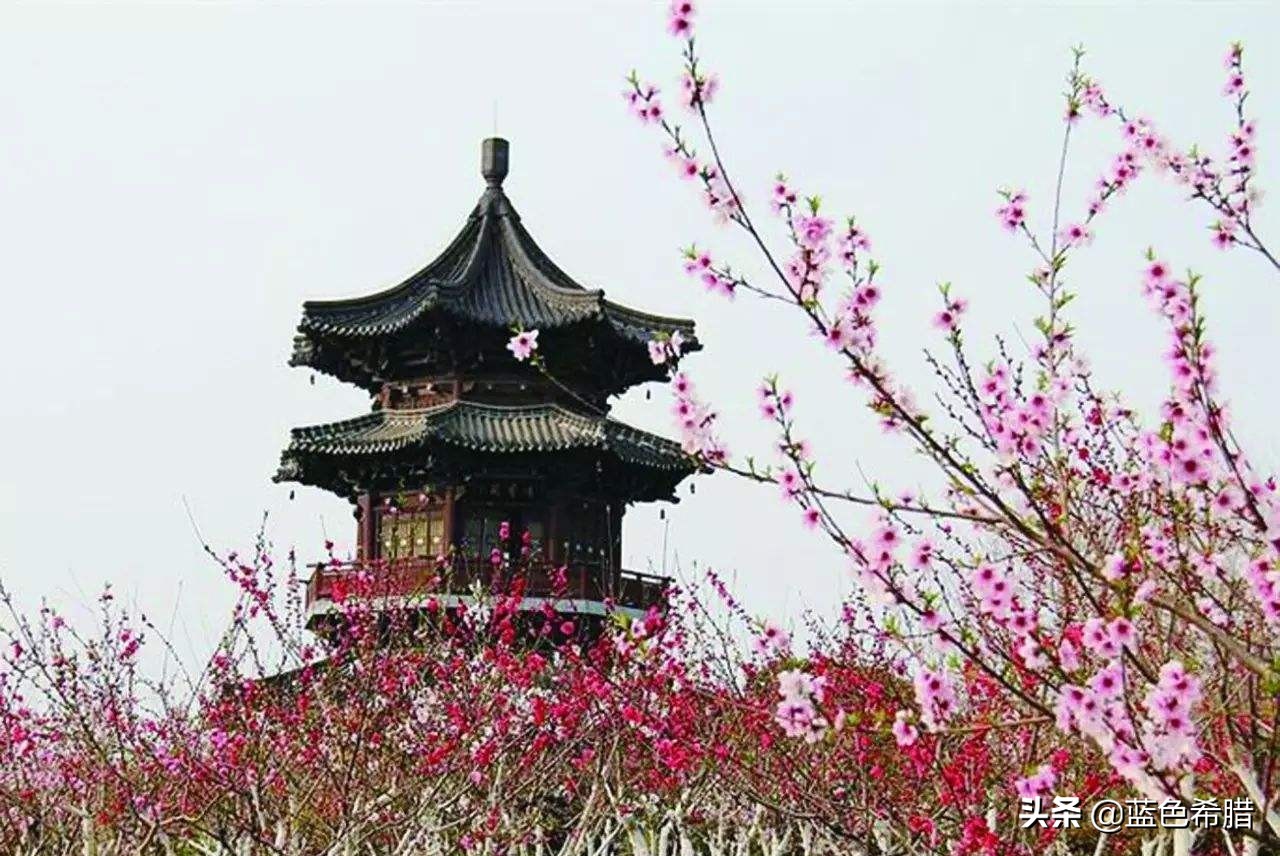 黄师塔前江水东,春光懒困倚微风.