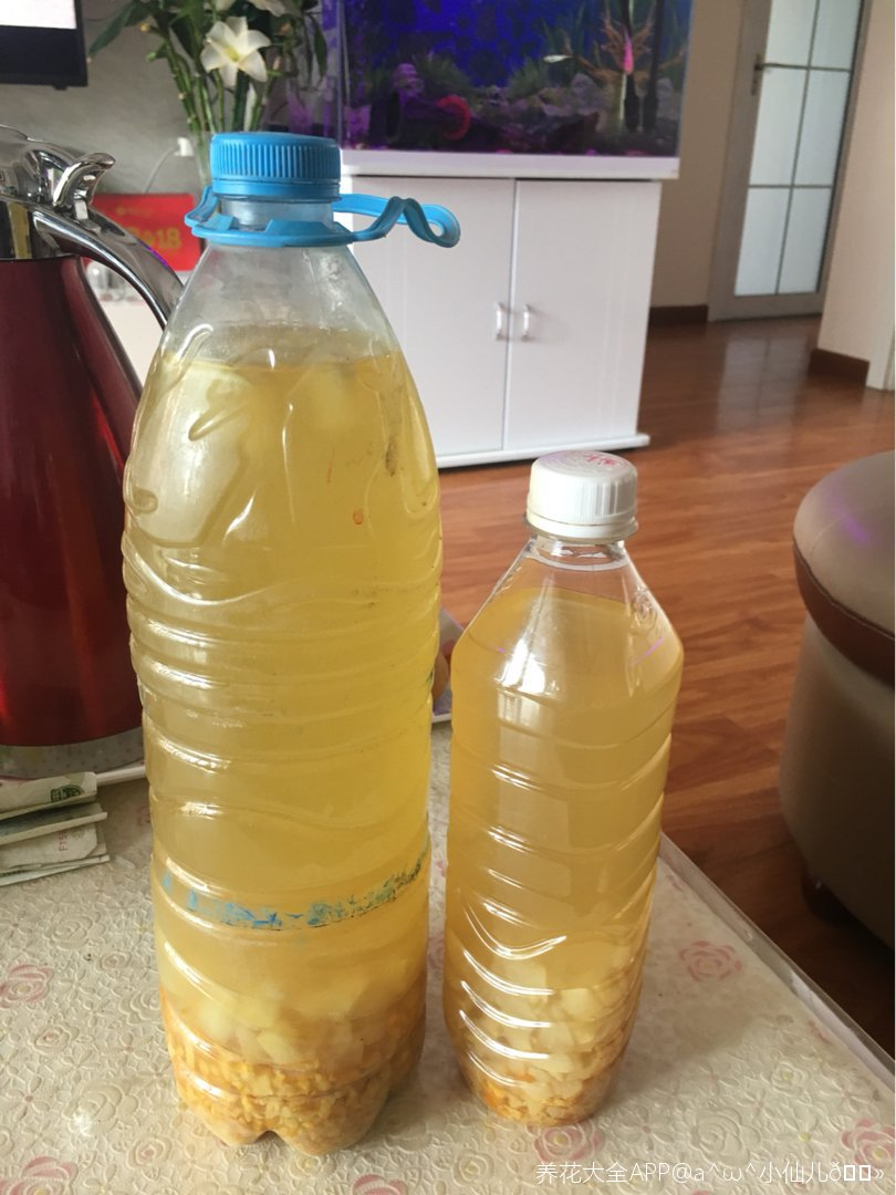 家庭有機肥發(fā)酵方法,家庭自制有機肥發(fā)酵方法大全