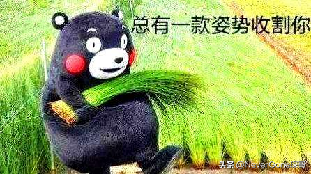 也许是史上最全各价位工装靴大盘点，共计51个国内外品牌请收藏好