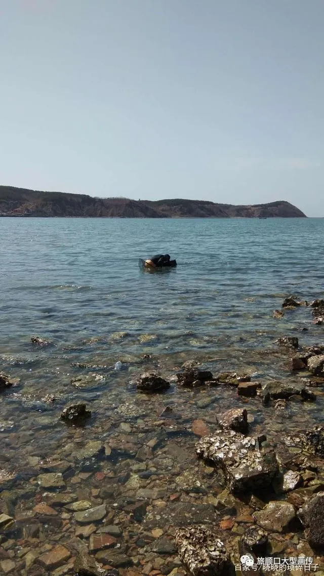 春渐暖,花已开,让我带你去看海——旅顺月亮湾