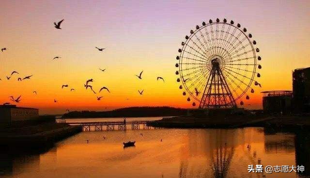 2020考生报中国石油大学（华东）必备数据（附各专业详细分数线）