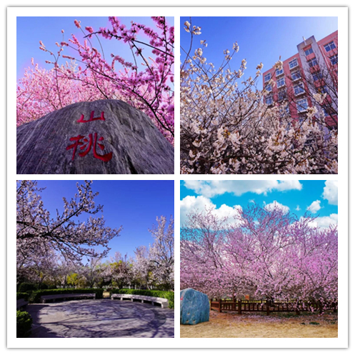 占地5700余亩，走出院士、奥运冠军等94万人才，10个理由让你爱上河南这所高校