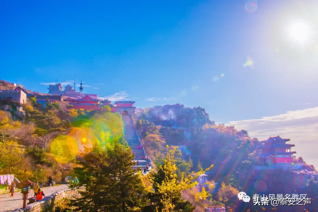 深秋泰山：一年好景君须记，最是橙黄橘绿时