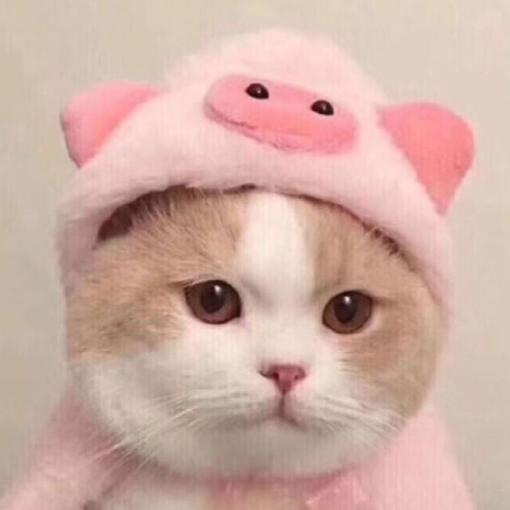 纯爱星际恋爱文！金发碧眼美少年伯爵