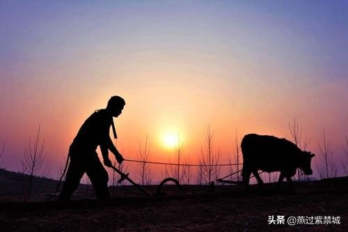 「冯道」我默默地打扫，乱世的一地鸡毛