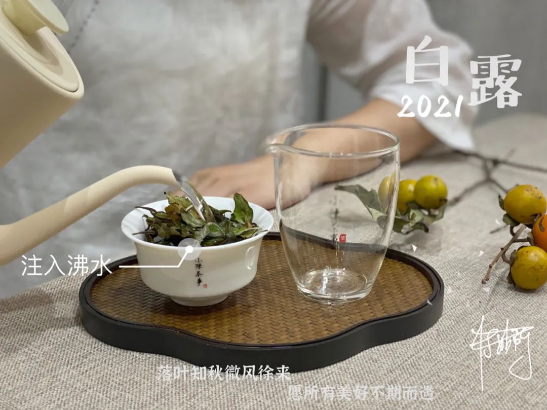 白茶、红茶、岩茶，什么样的茶叶不必洗茶？什么样的必须洗？