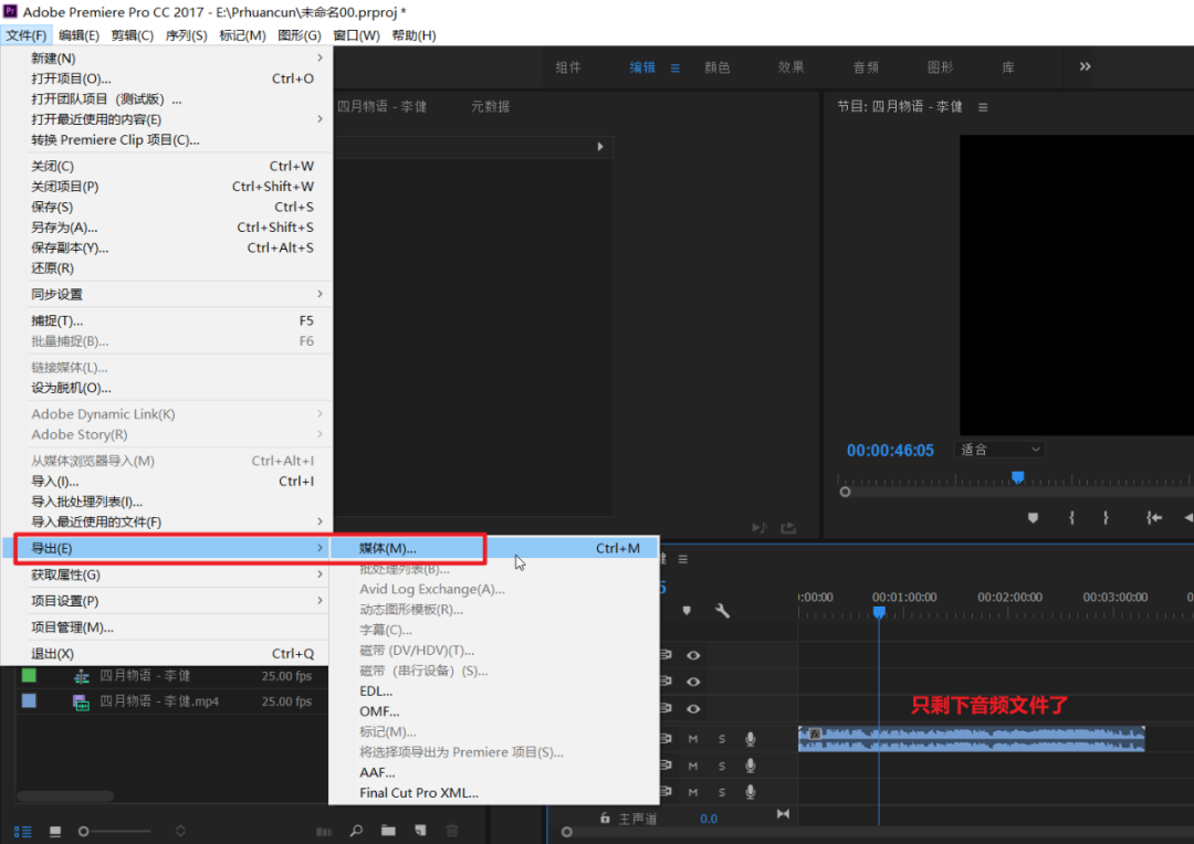 4 个提取音频的方法