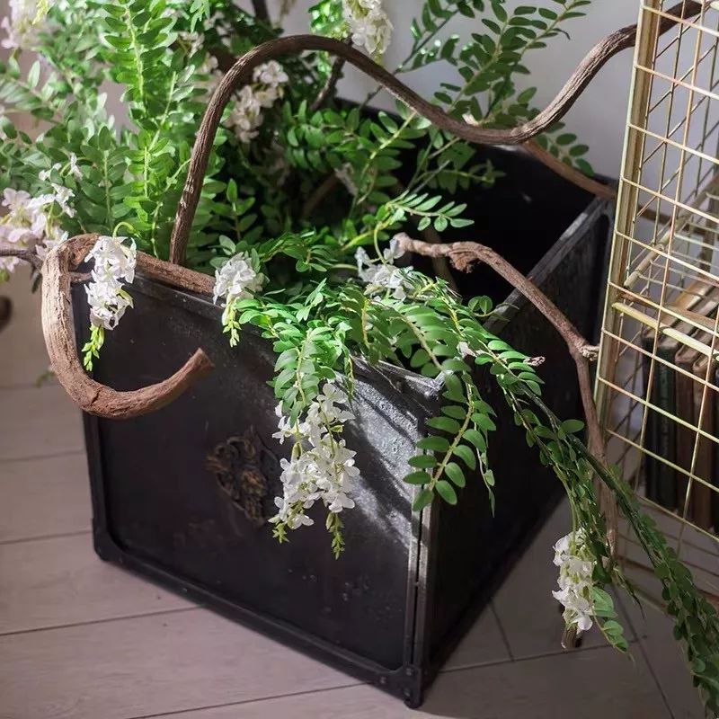 菜叶发黄是什么原因怎么防治（植物叶子发黄的七个原因）