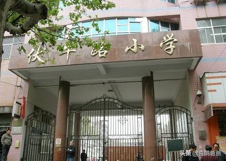 郑州市重点小学全介绍——中原区篇