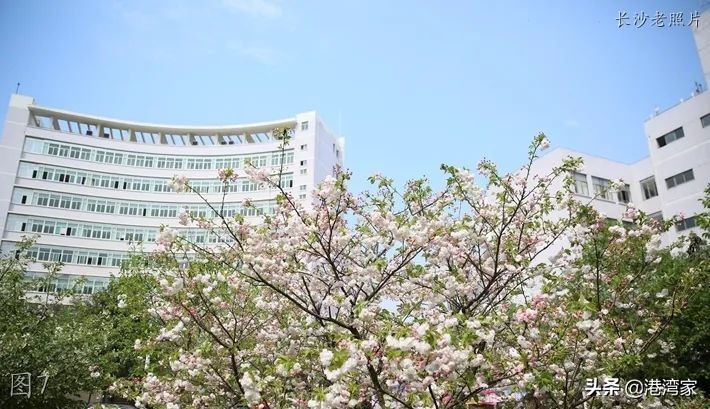 中南林学院老照片：校舍，旧图书馆，忆同学少年，风华正茂