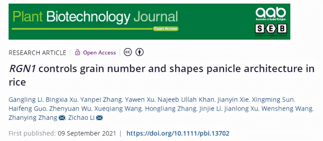 牛！短短一个月，北京这所名校接连取得多项重要科研进展，引国际关注！