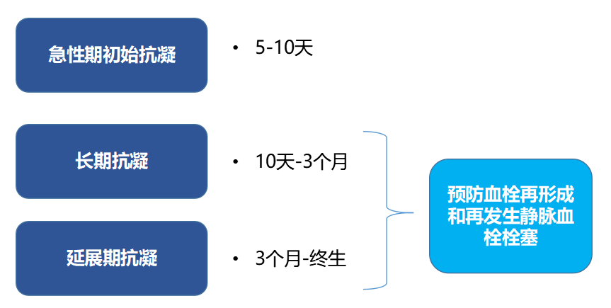 正大天晴达比加群酯突破壁垒首仿上市，助力患者长期规范抗凝治疗