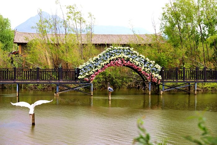 丽江拉市海，骑马走茶马古道，赏鸟走观湖长廊