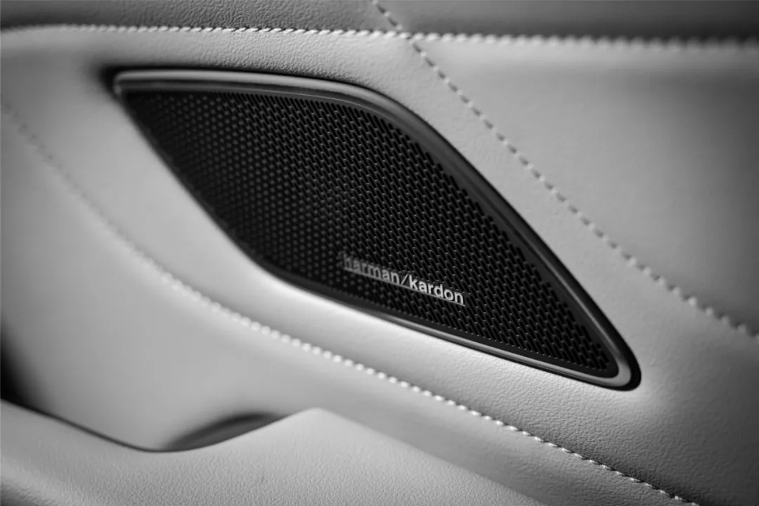 预算20-30万买电动车，看大众ID.就够了吗？