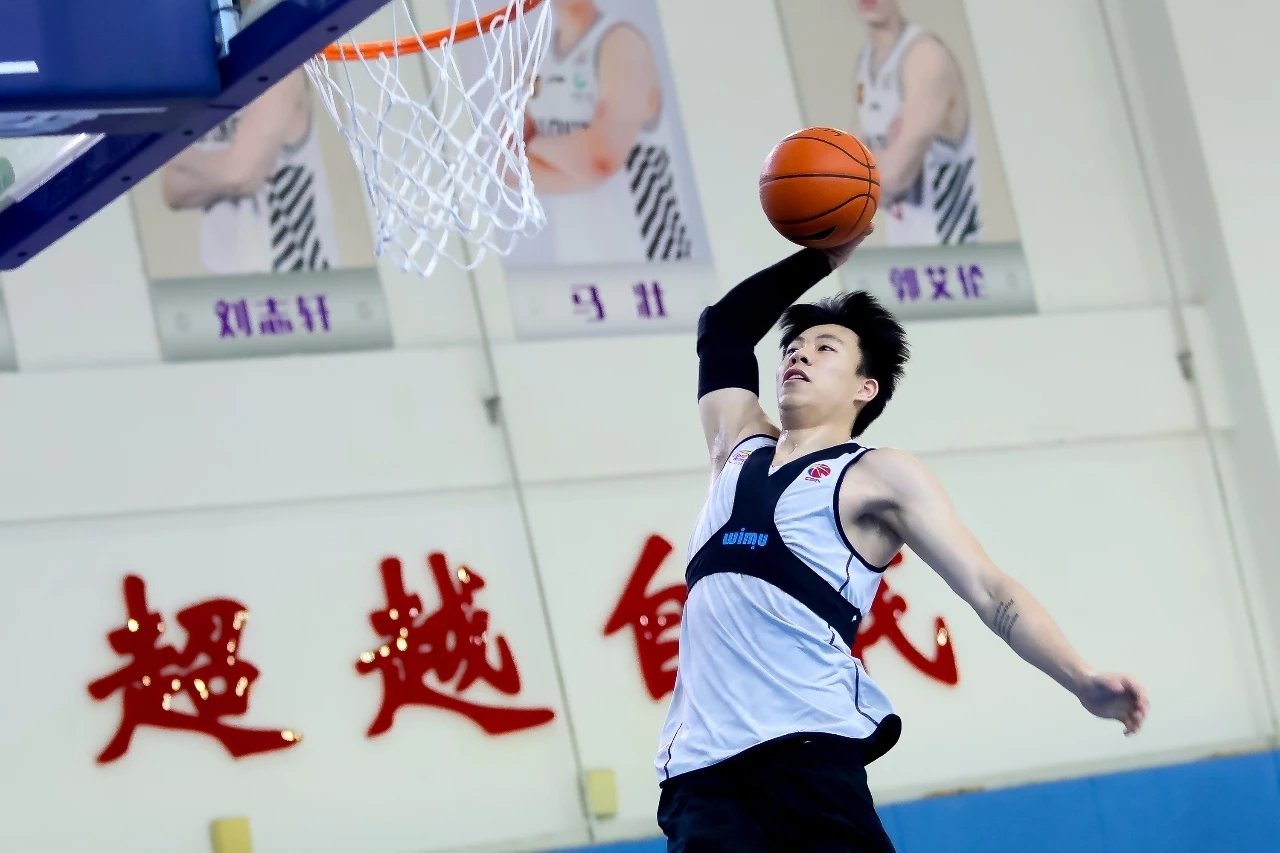 为什么张镇麟没去打nba(名宿道出张镇麟无法登录NBA真实原因！解决方案只有一个)