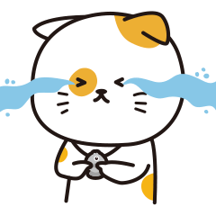仅8.2%的猫粮符合标准！你是个合格的铲屎官么？