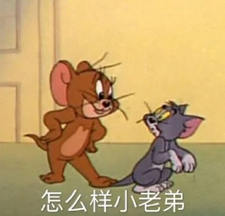 猫和老鼠表情包合集｜不服你顺着网线来打我啊