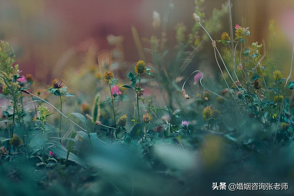 婚姻：出轨后，你能得到的最好的帮助，就是帮你慢下来