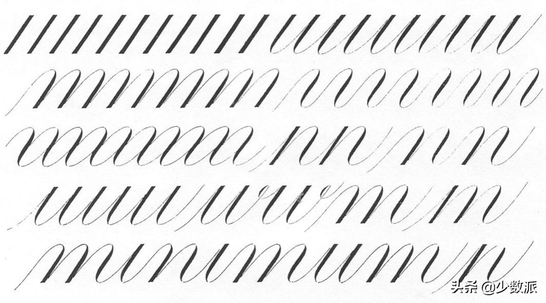 英语也能写「书法」，教你把 ABCD 写出花