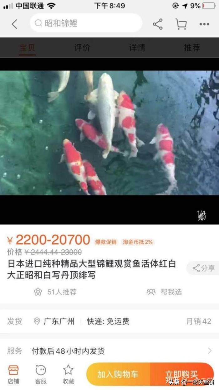 淘宝经营的主要业务是什么，新手做淘宝什么类目比较容易爆？