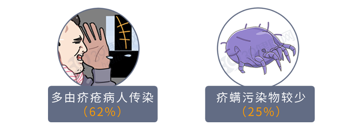 疥螨到底是什么？感染后有何症状？这2种传播途径，男女都要小心