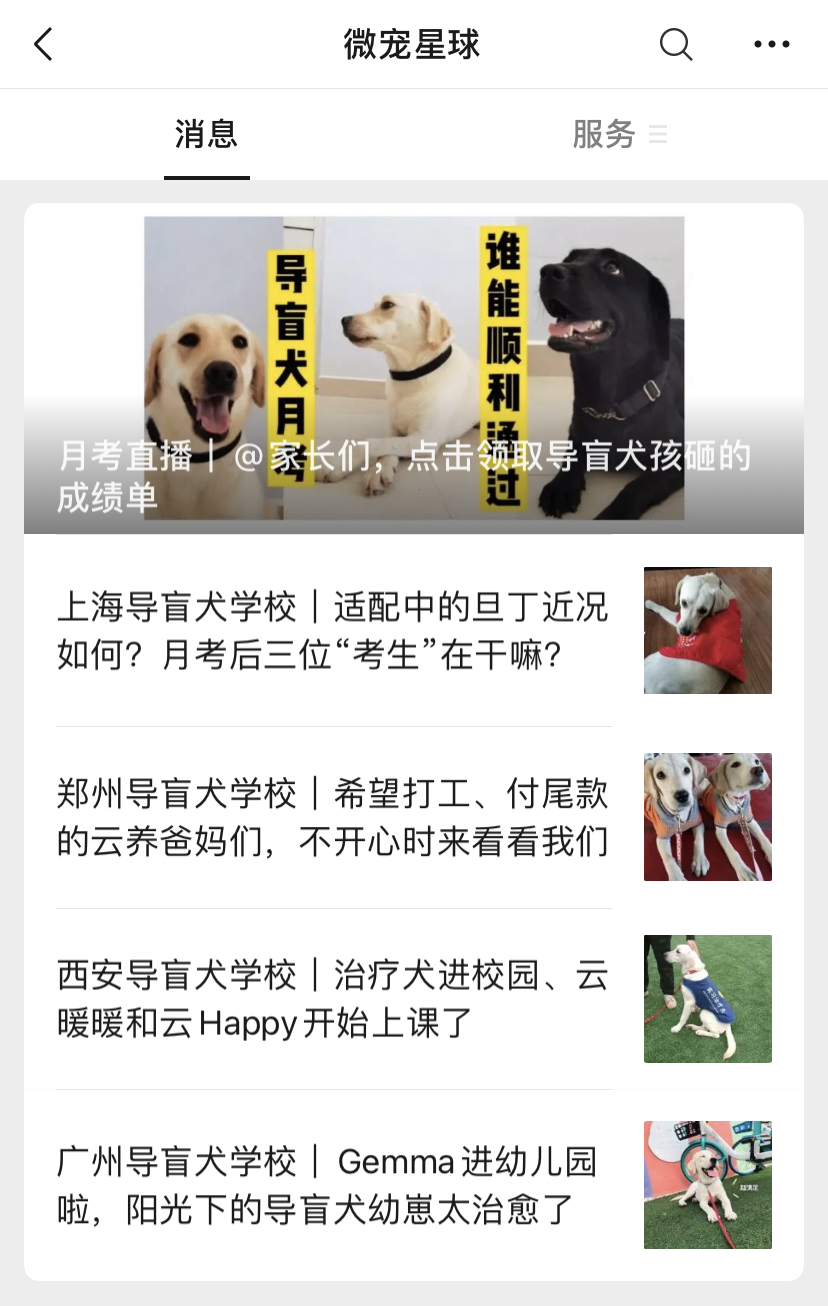 什么是2000万人关注的导盲犬基地？在这里，狗和志愿者才是主角