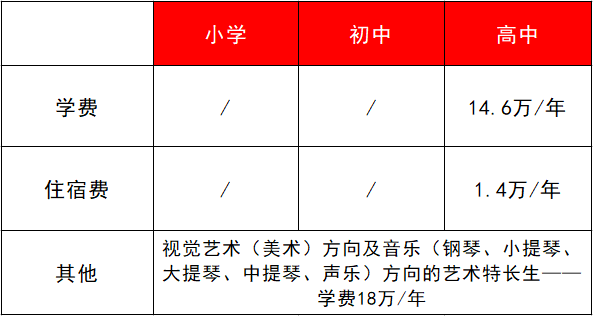 深圳国际学校学费（深圳国际学校学费10W）