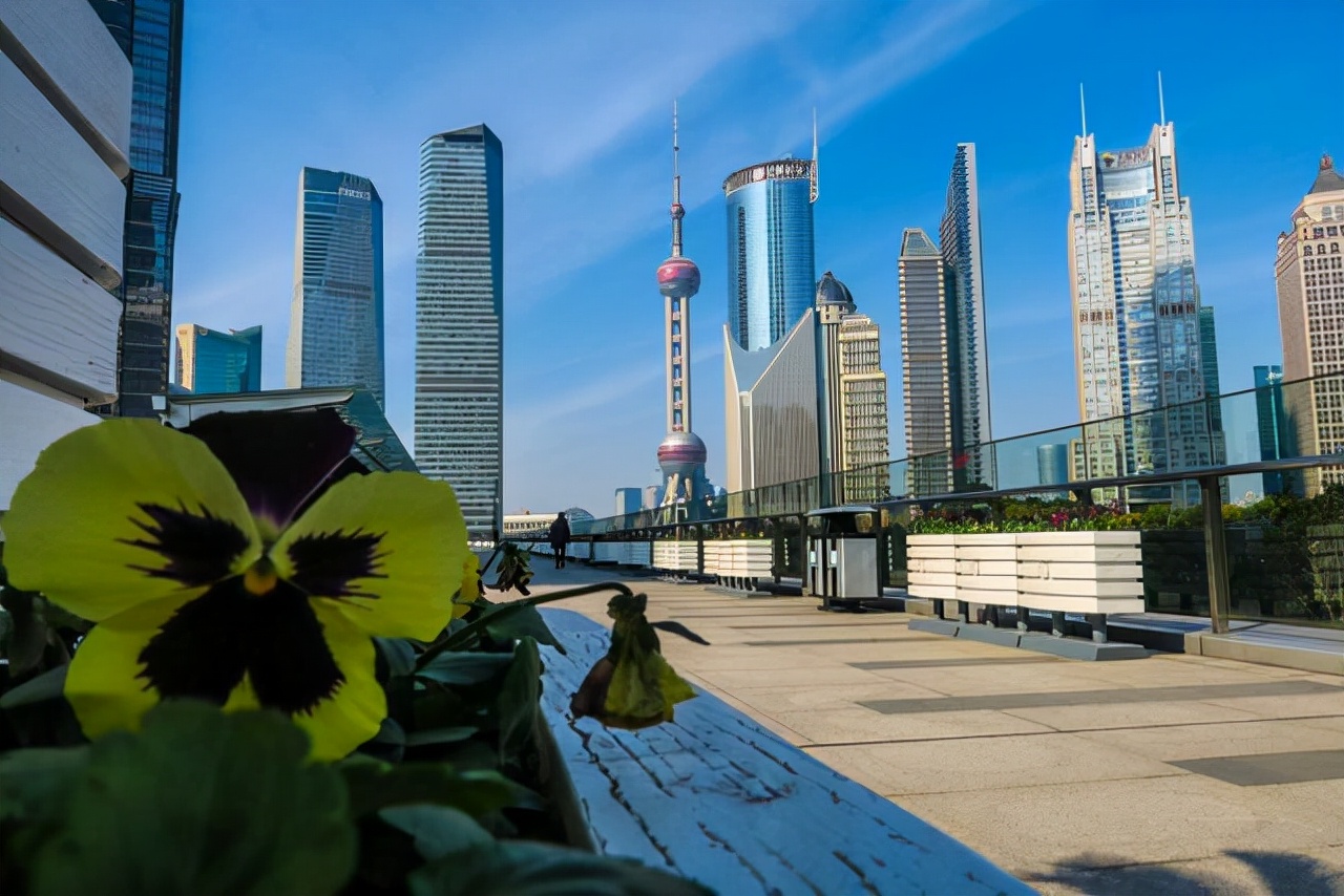 上海落户门槛降低，6所高校毕业生有望安家落“沪”，变身本地人