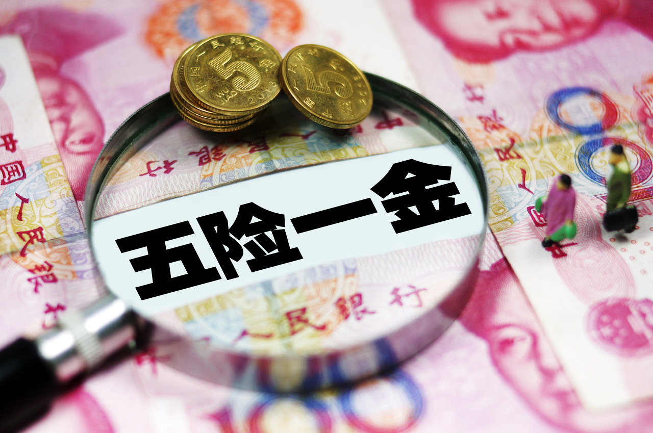 社保查不到怎么办？