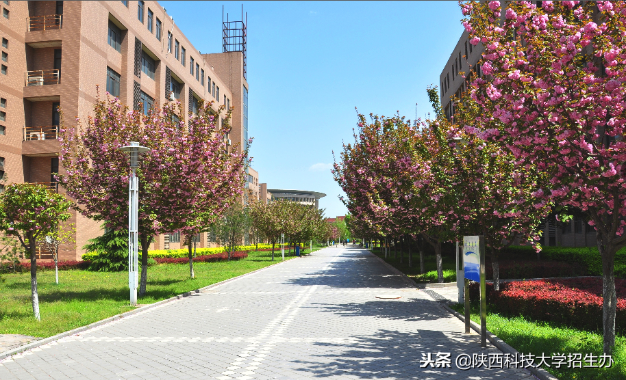 42岁以教授身份读博，他放弃深圳优厚薪资，选择扎根西北35年！