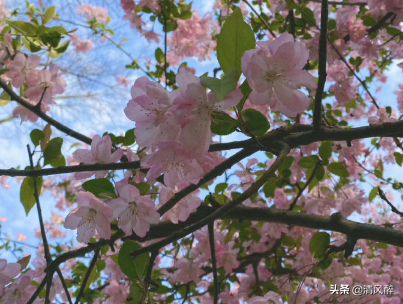 充满夏日气息的唯美句子