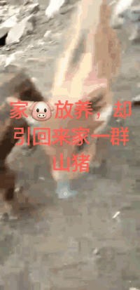 搞笑GIF:这样的姑娘卸妆后，你敢娶吗