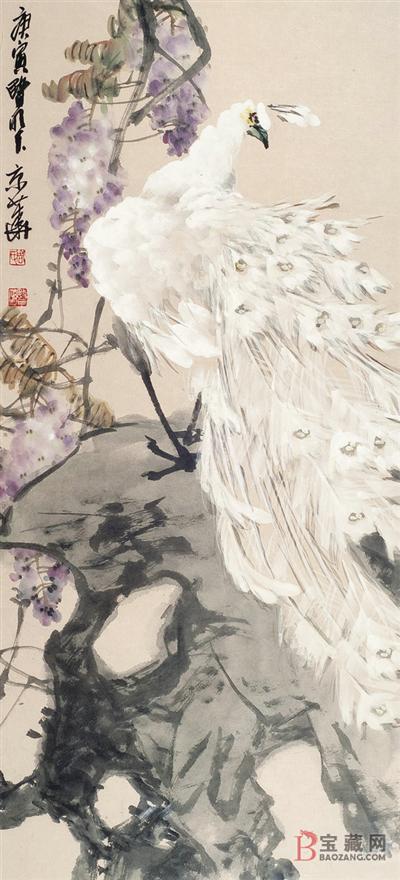 孔雀东南飞！高贵、冷艳的白孔雀