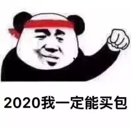 表情包：2020我一定能暴富