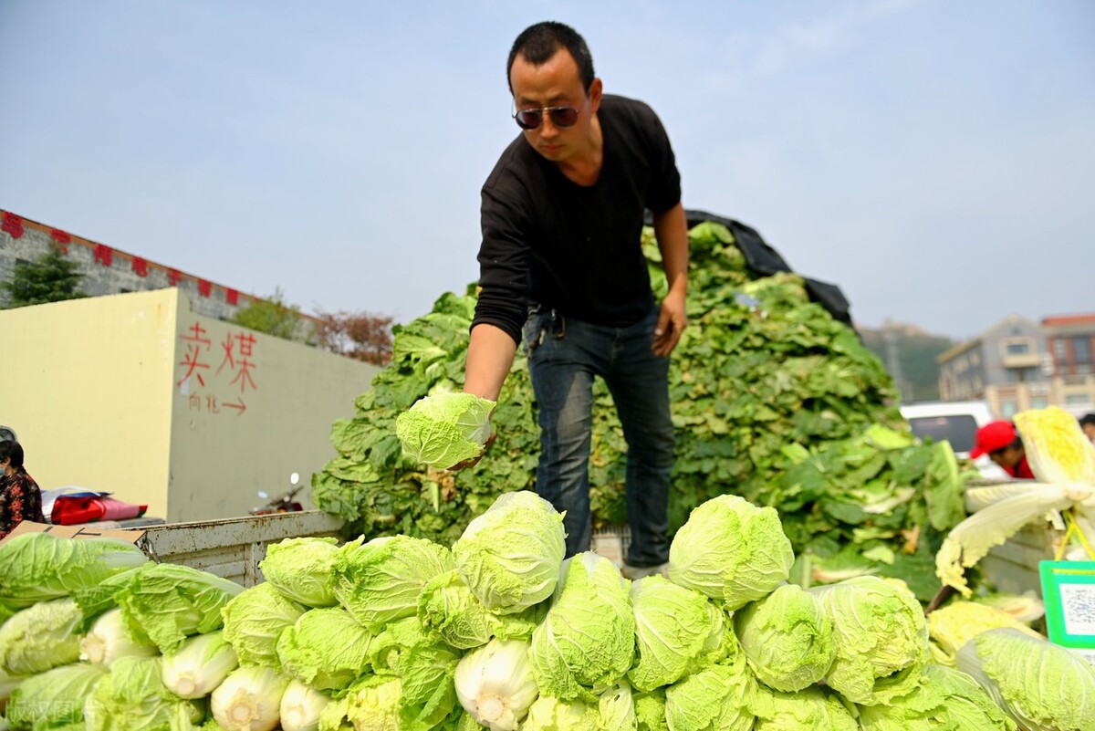 天冷降温，菜价上涨，这6种“便宜蔬菜”多囤些，放一冬都不坏