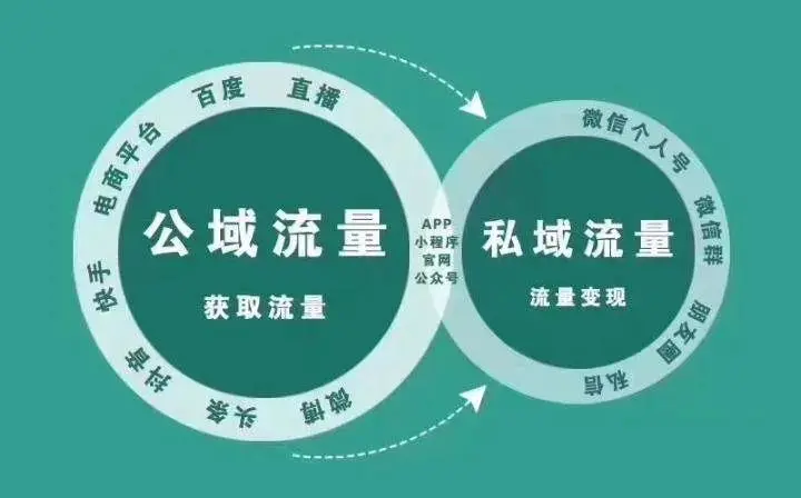 如何搭建私域运营团队,核心能力是什么?